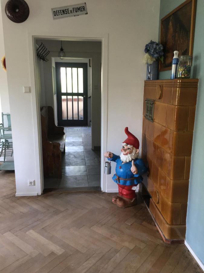 Chalet Montsegur Villa Colmar Dış mekan fotoğraf