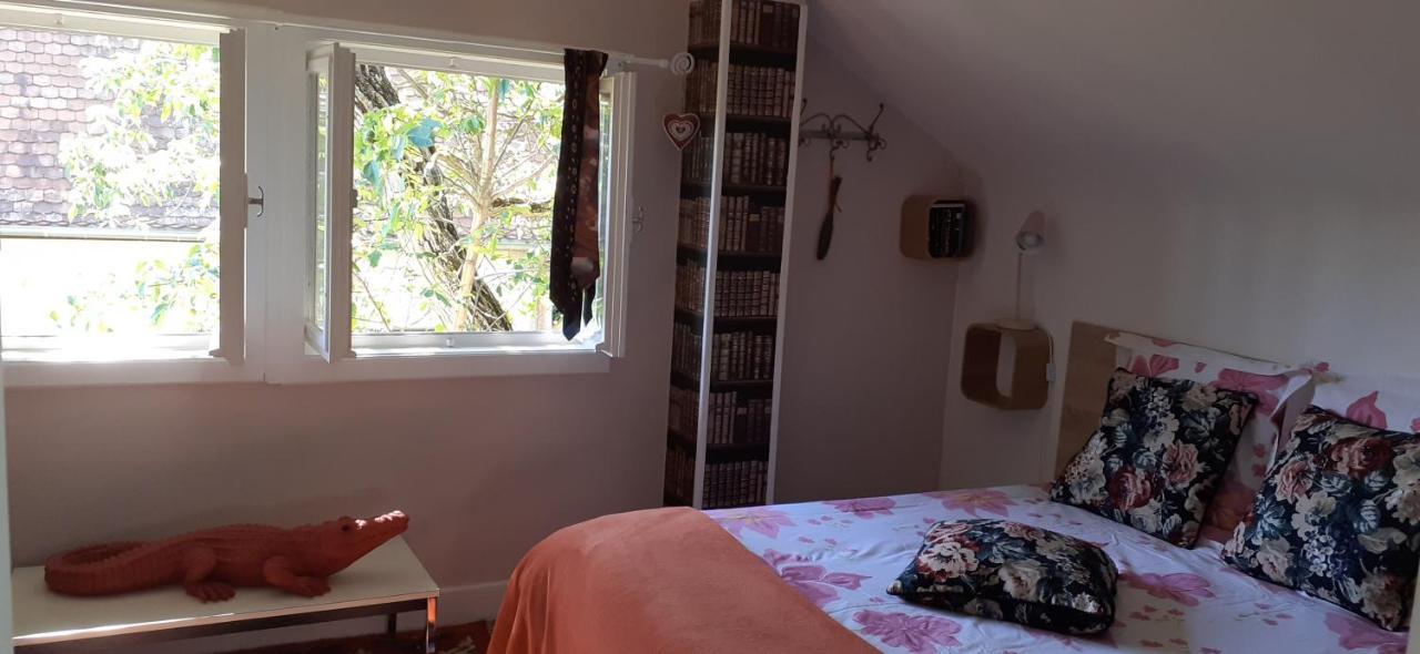 Chalet Montsegur Villa Colmar Dış mekan fotoğraf